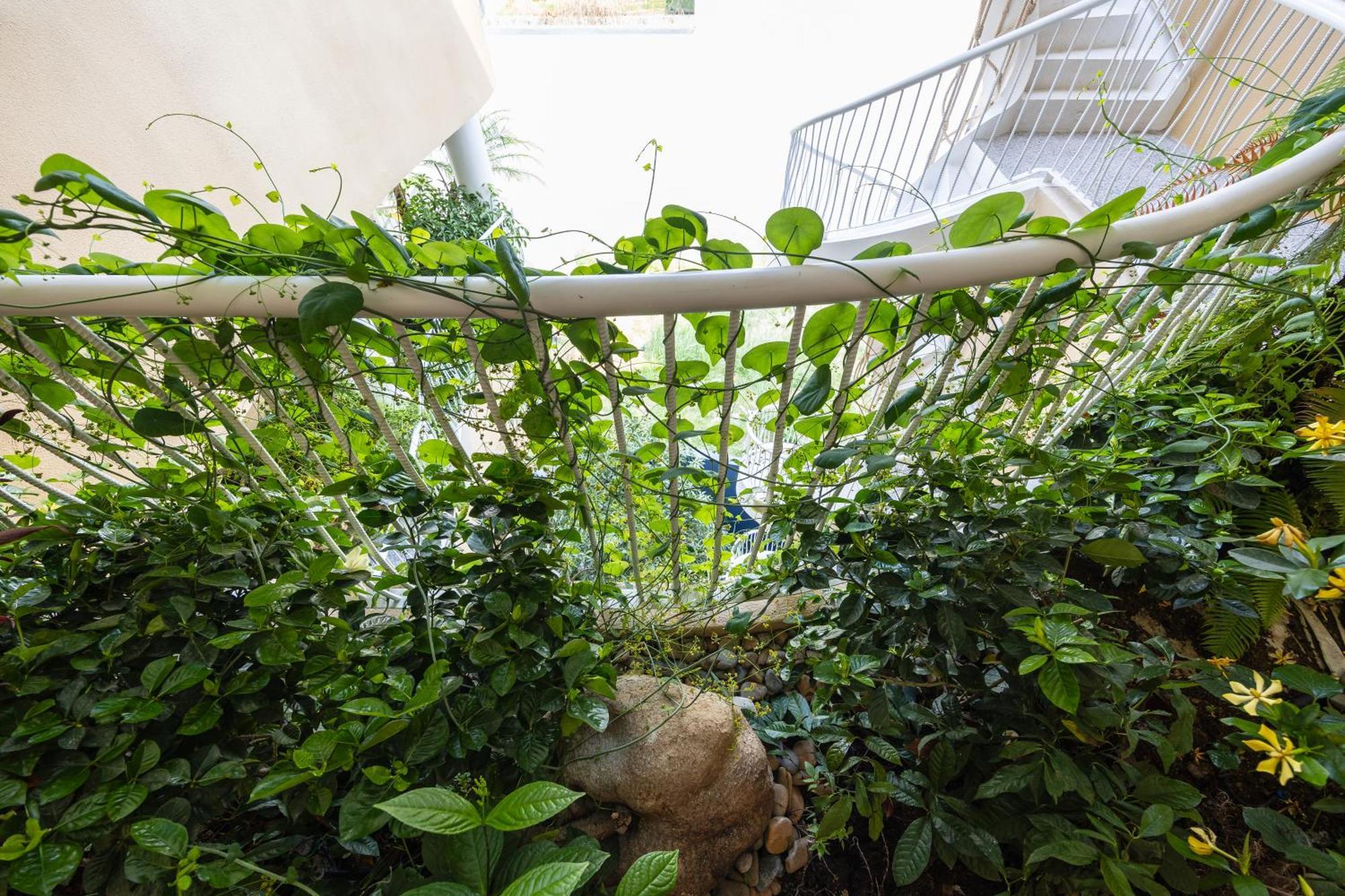 Saha Casa Boutique Hotel Da Nang Dış mekan fotoğraf